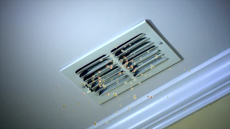 Best Professional Duct Cleaning Services  in Bullard, TX
